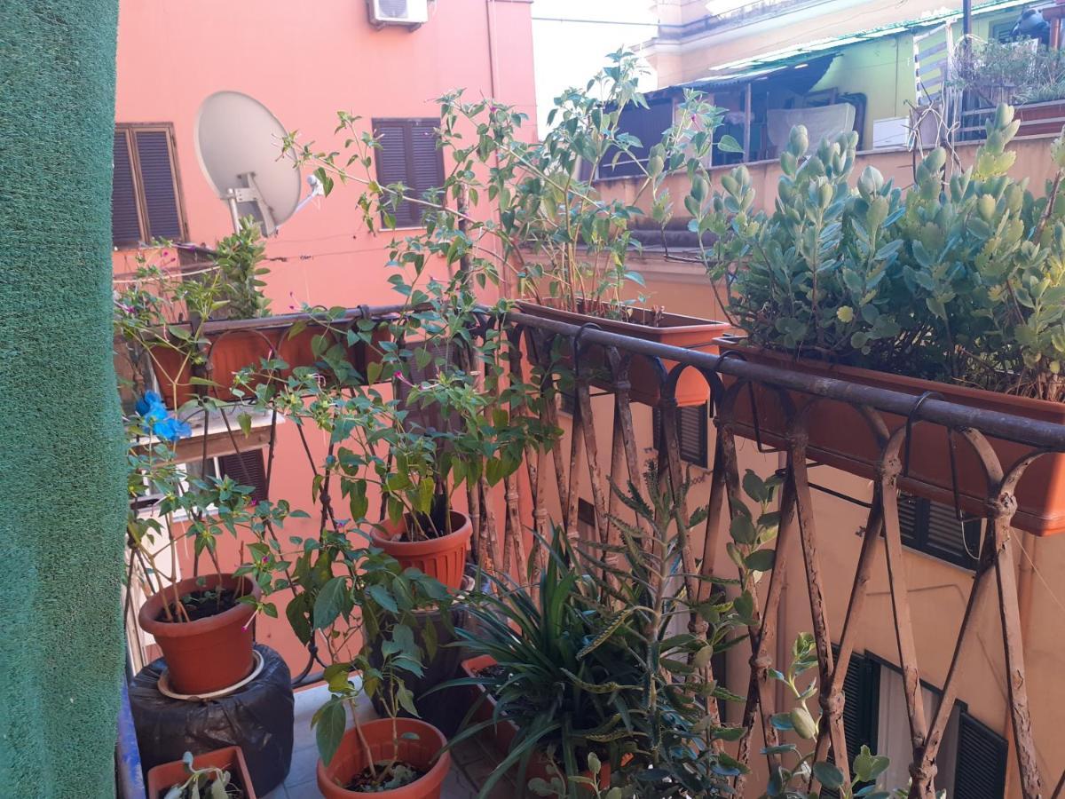 Napoleone Luxury Home Roma Bagian luar foto